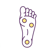 Palm Amore Seawoods Palm Beach 